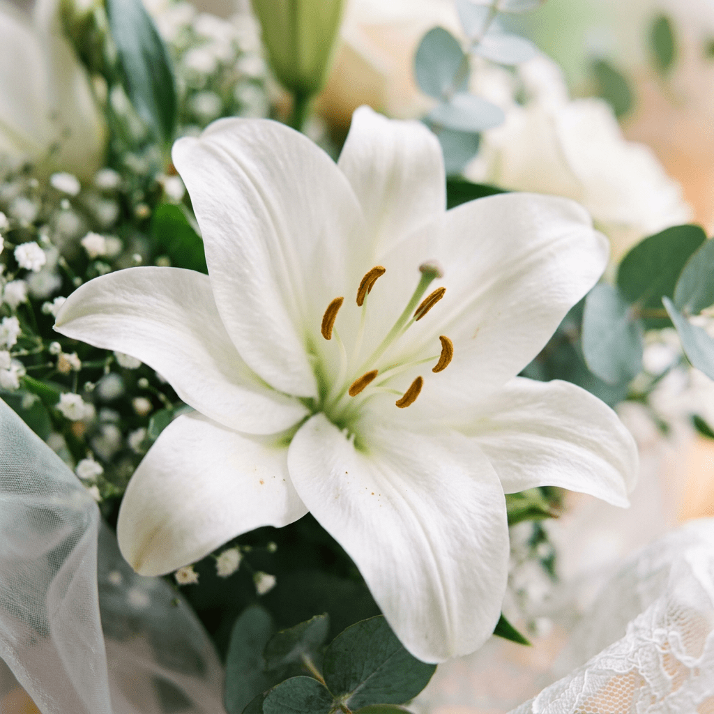 White lily flower with orange stamens amid green leaves and small white flowers